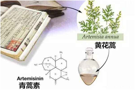 华体会在线,华体会（中国）：向中医药看齐，与世界共享中医药文化(图1)